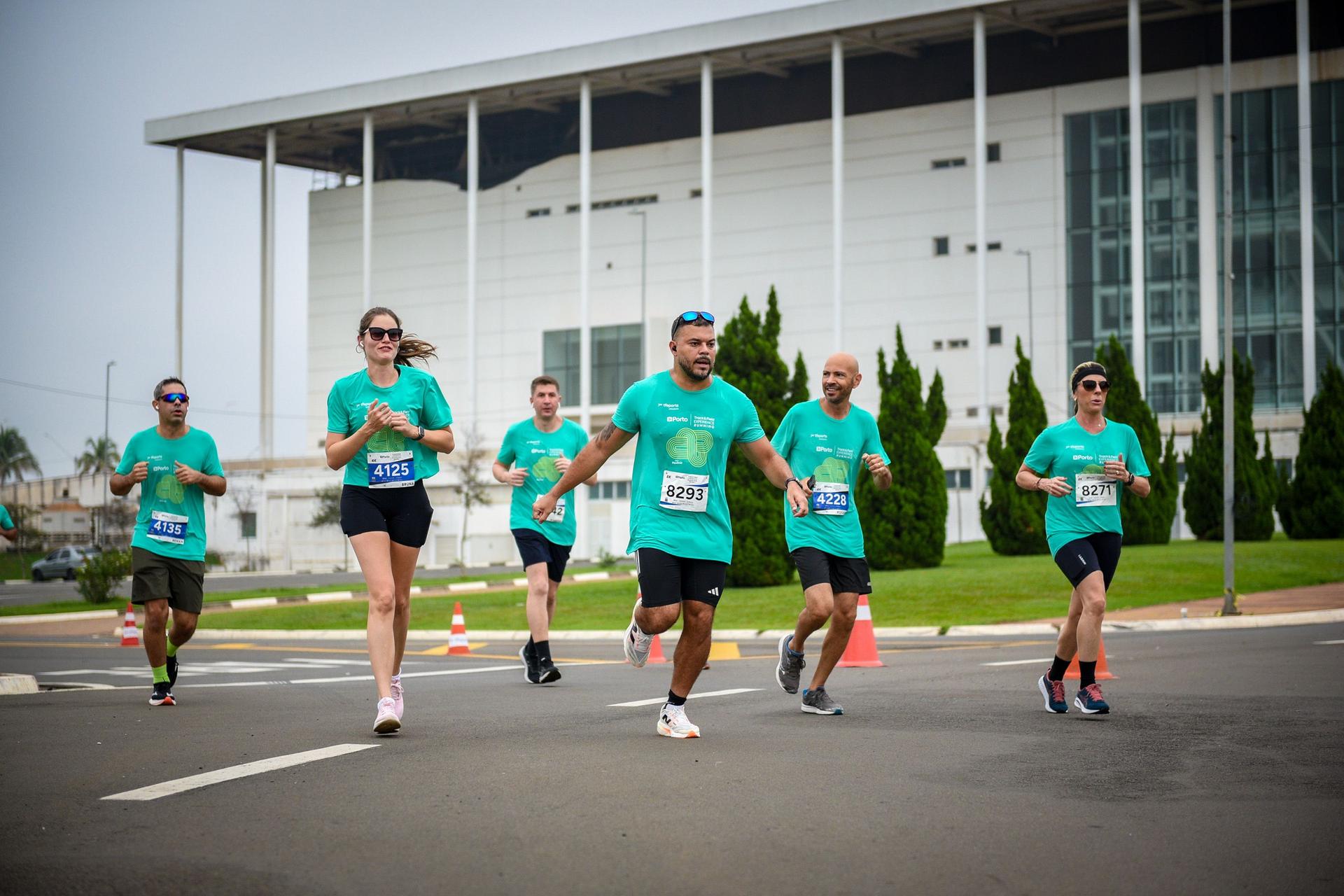 Cópia de hirommarangoni_tf-paulinia-1394_1552373_148083.jpg